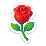 rose